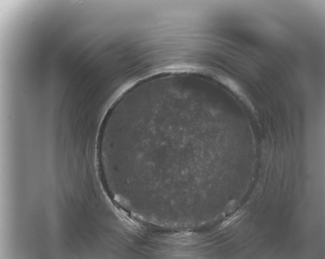 X0000067901229200604171354