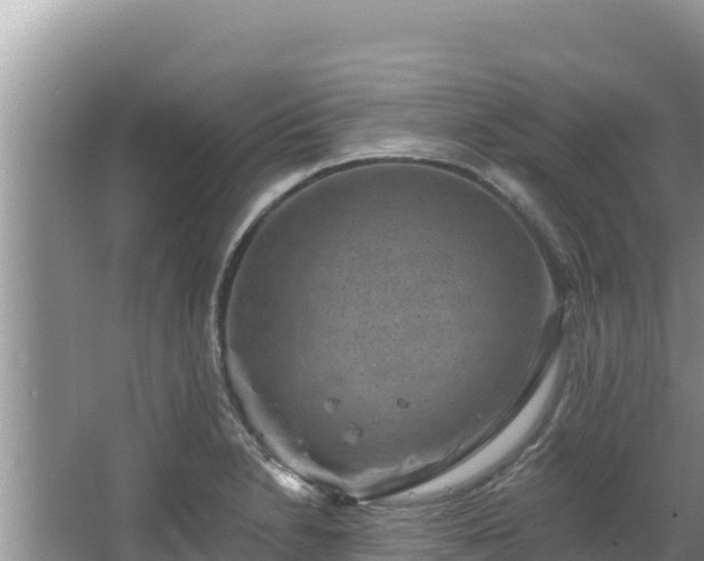 X0000067901230200604171354