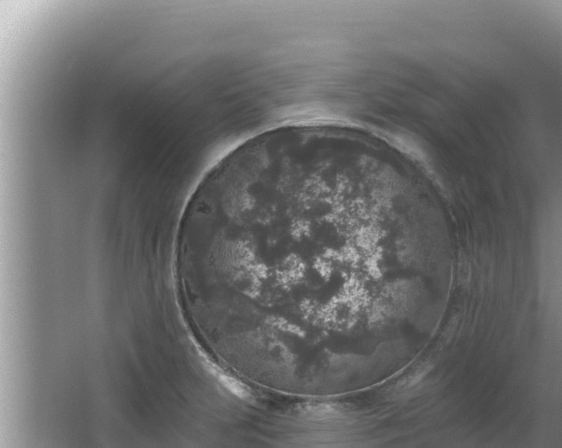 X0000067901231200604171354