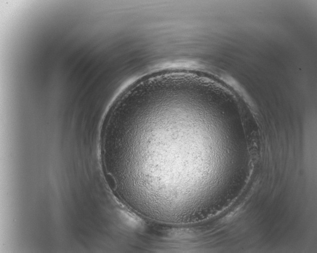 X0000067901232200604171354