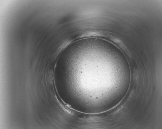 X0000067901233200604171354