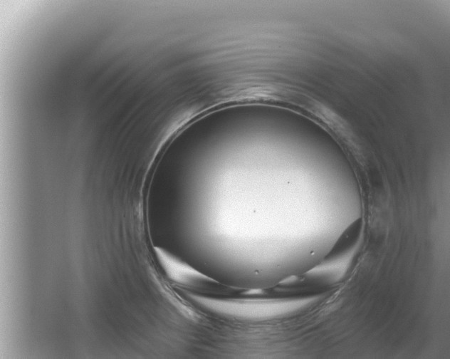 X0000067901234200604171354