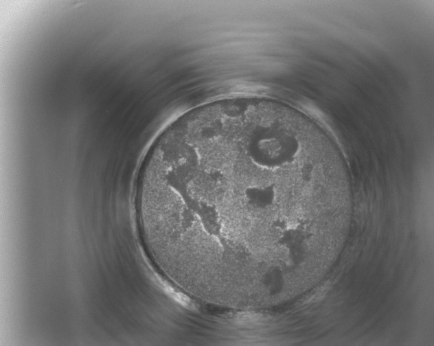 X0000067901235200604171354