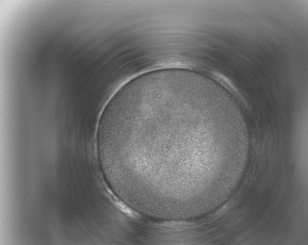 X0000067901236200604171354