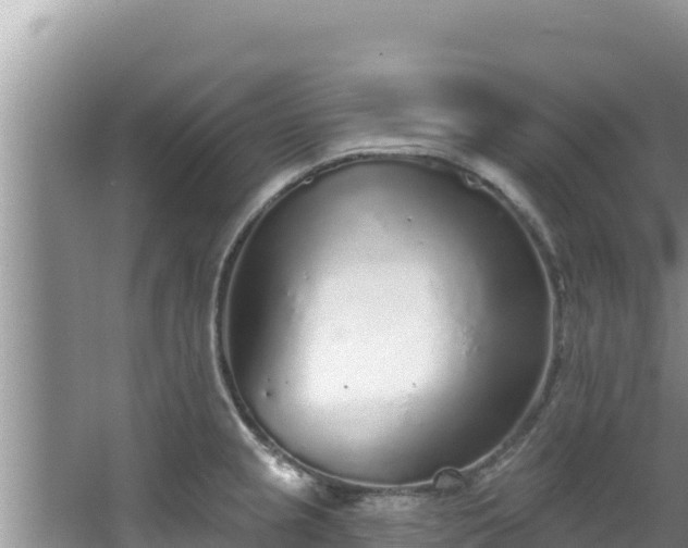 X0000067901237200604171354