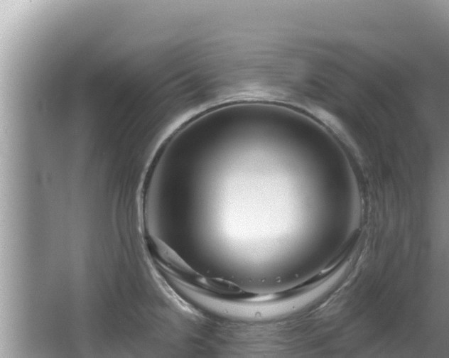 X0000067901238200604171354