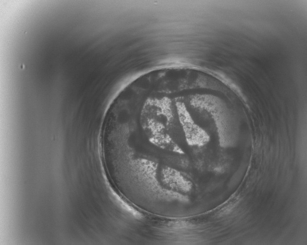 X0000067901239200604171354