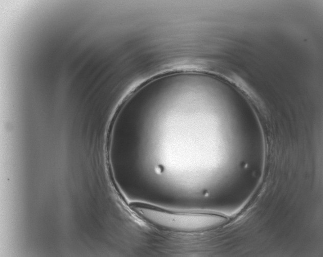 X0000067901240200604171354