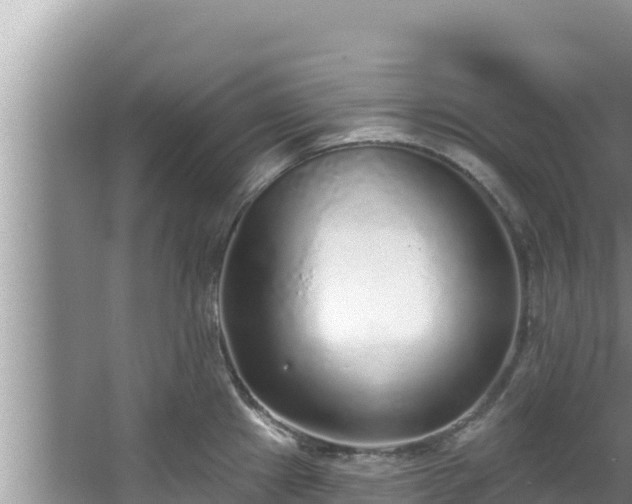 X0000067901241200604171355