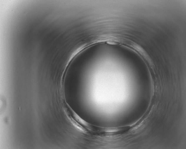 X0000067901242200604171355