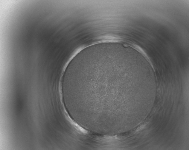 X0000067901243200604171355