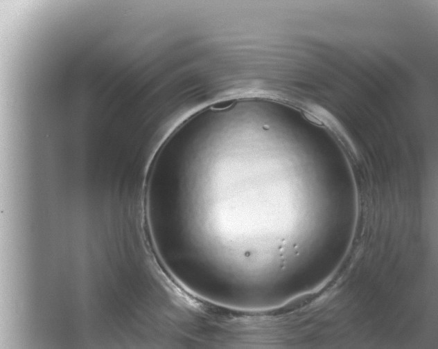 X0000067901244200604171355