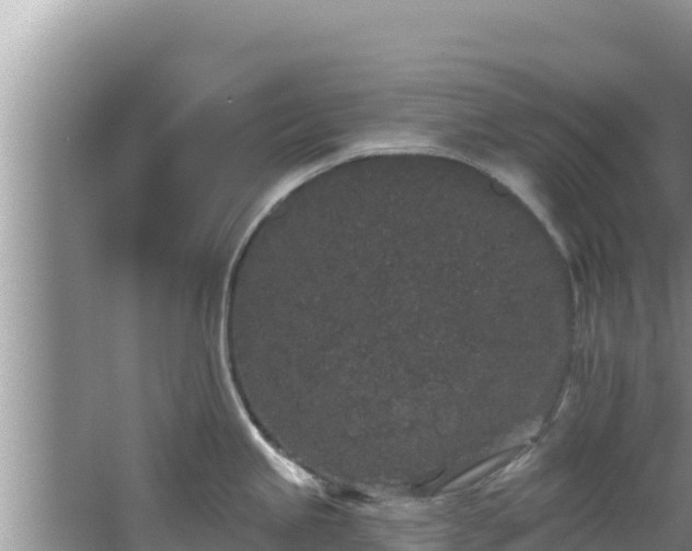 X0000067901245200604171355