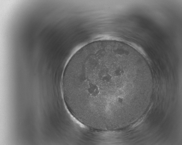 X0000067901247200604171355