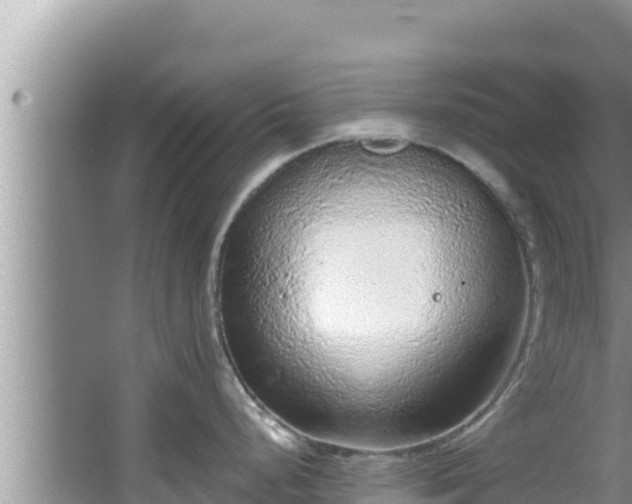 X0000067901248200604171355