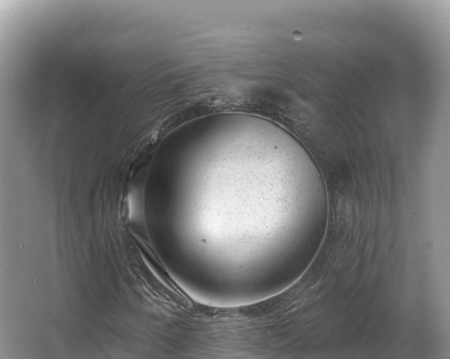 X0000067901250200604171354