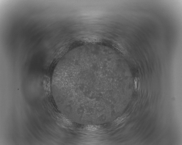 X0000067901251200604171354