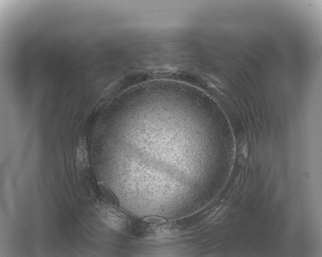 X0000067901252200604171354