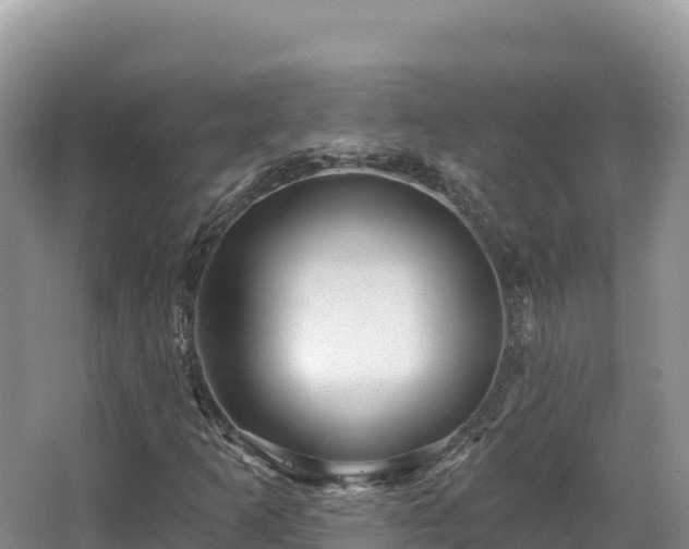 X0000067901253200604171354