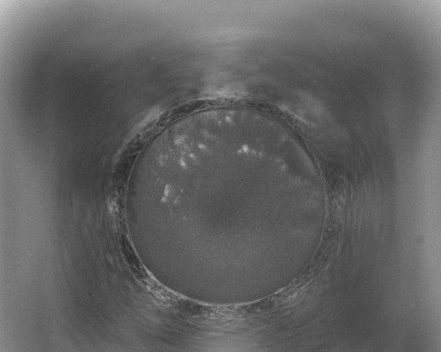 X0000067901254200604171354