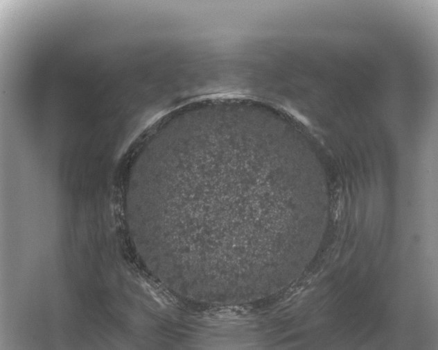 X0000067901255200604171354