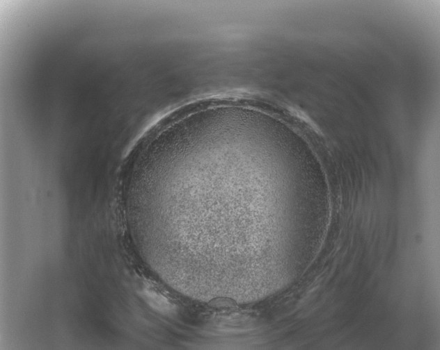 X0000067901256200604171354