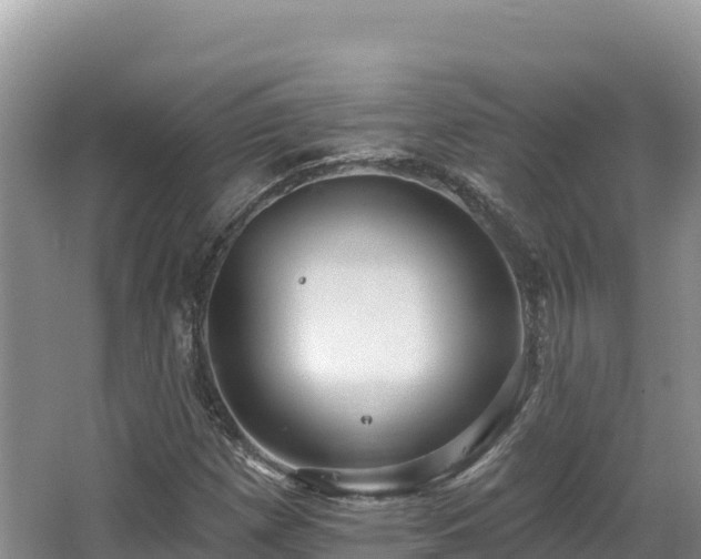 X0000067901257200604171354