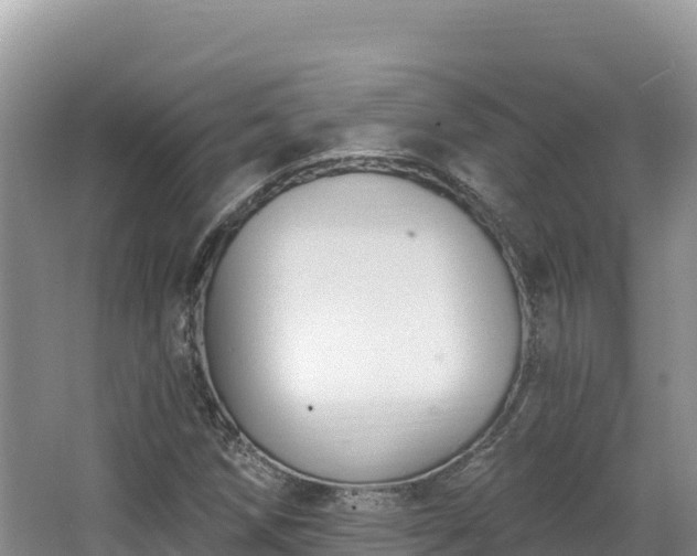 X0000067901258200604171354