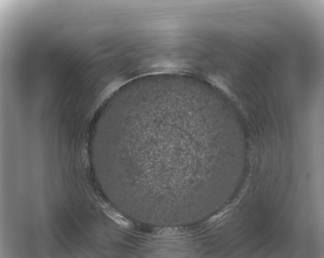 X0000067901259200604171354