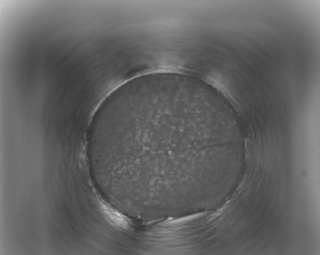 X0000067901260200604171354