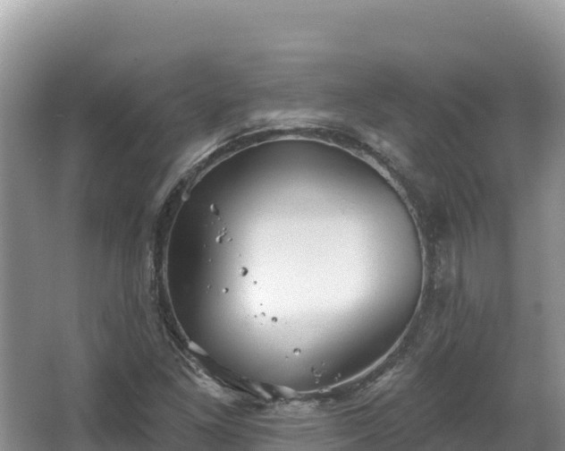 X0000067901261200604171354