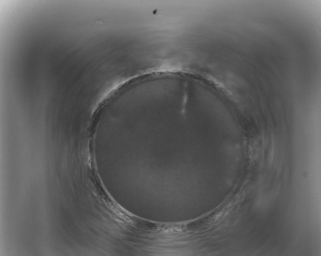 X0000067901262200604171354