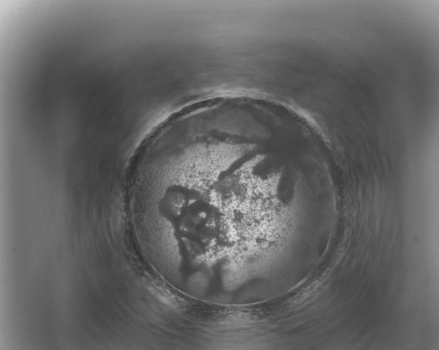 X0000067901263200604171354