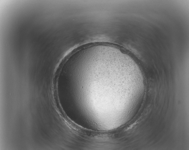 X0000067901264200604171354