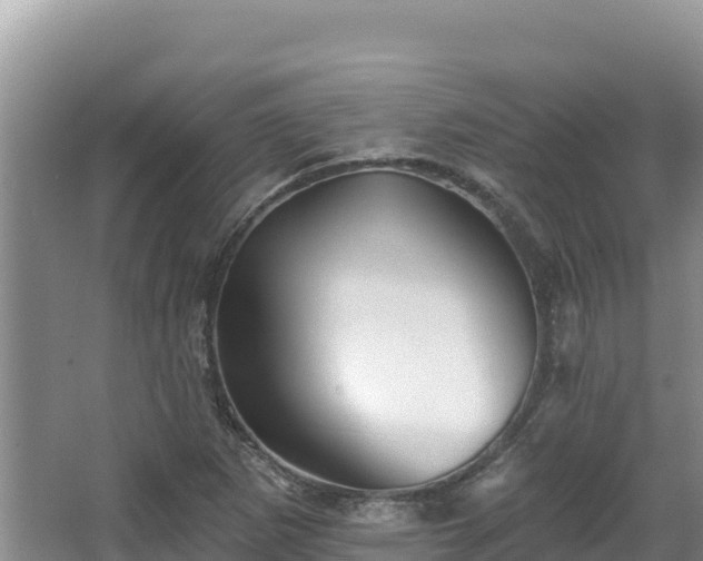 X0000067901265200604171354