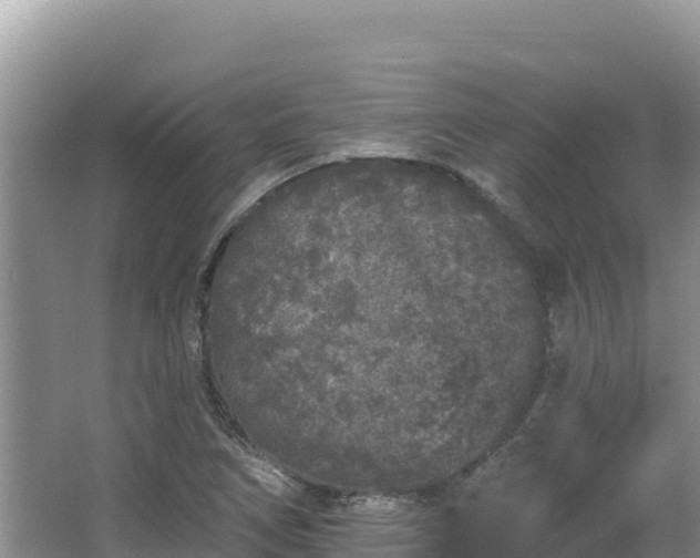 X0000067901266200604171354