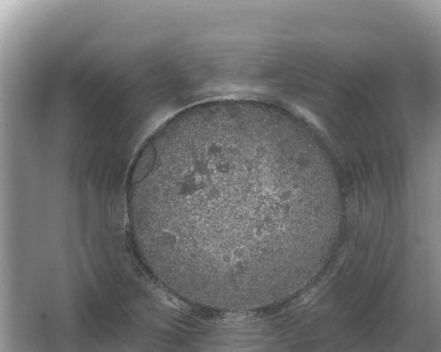 X0000067901267200604171354