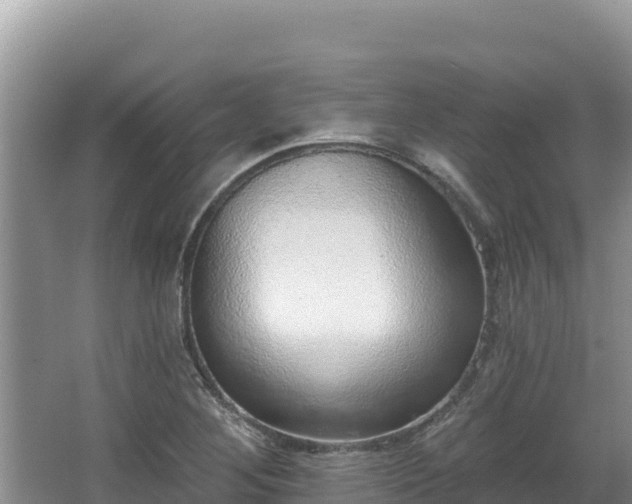 X0000067901268200604171353