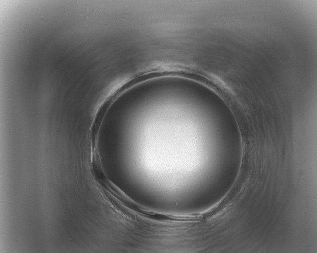 X0000067901269200604171353