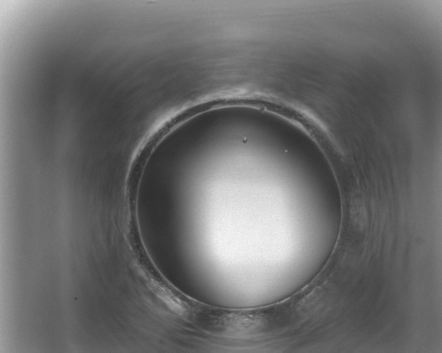 X0000067901270200604171353