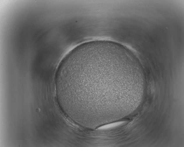 X0000067901271200604171353