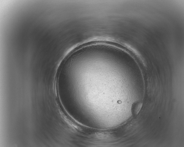 X0000067901272200604171353