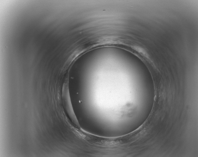 X0000067901273200604171353