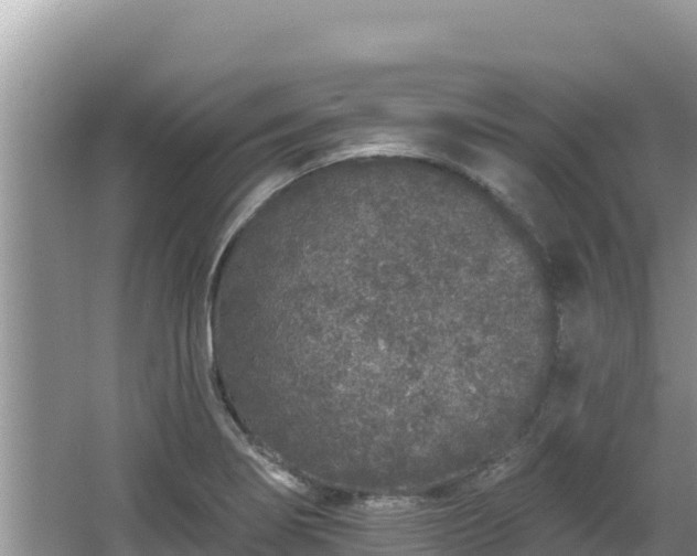 X0000067901274200604171353