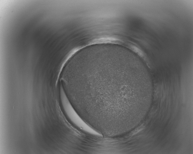 X0000067901275200604171353