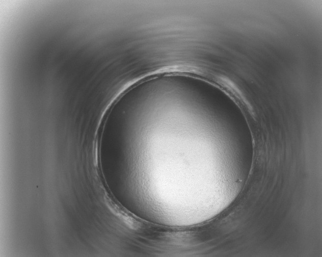 X0000067901276200604171353