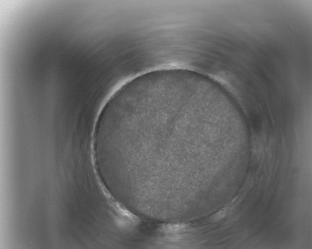 X0000067901278200604171353