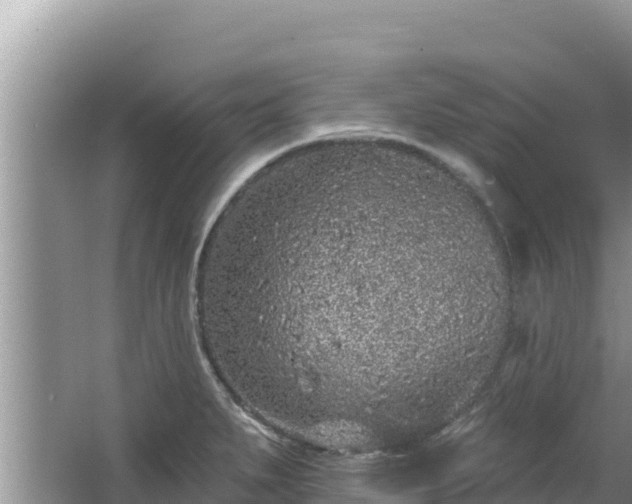 X0000067901279200604171353