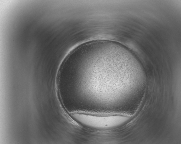 X0000067901280200604171353