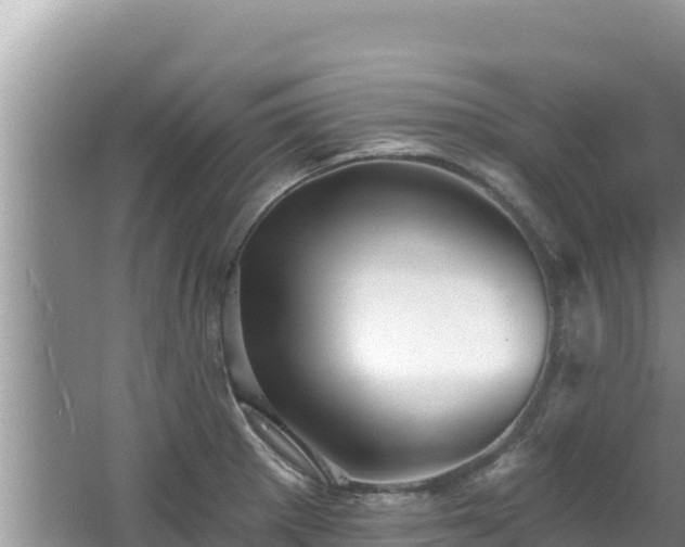 X0000067901281200604171353